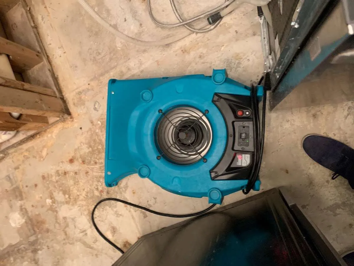 Air mover drying equipment for Mold Remediation & Removal in Pompey