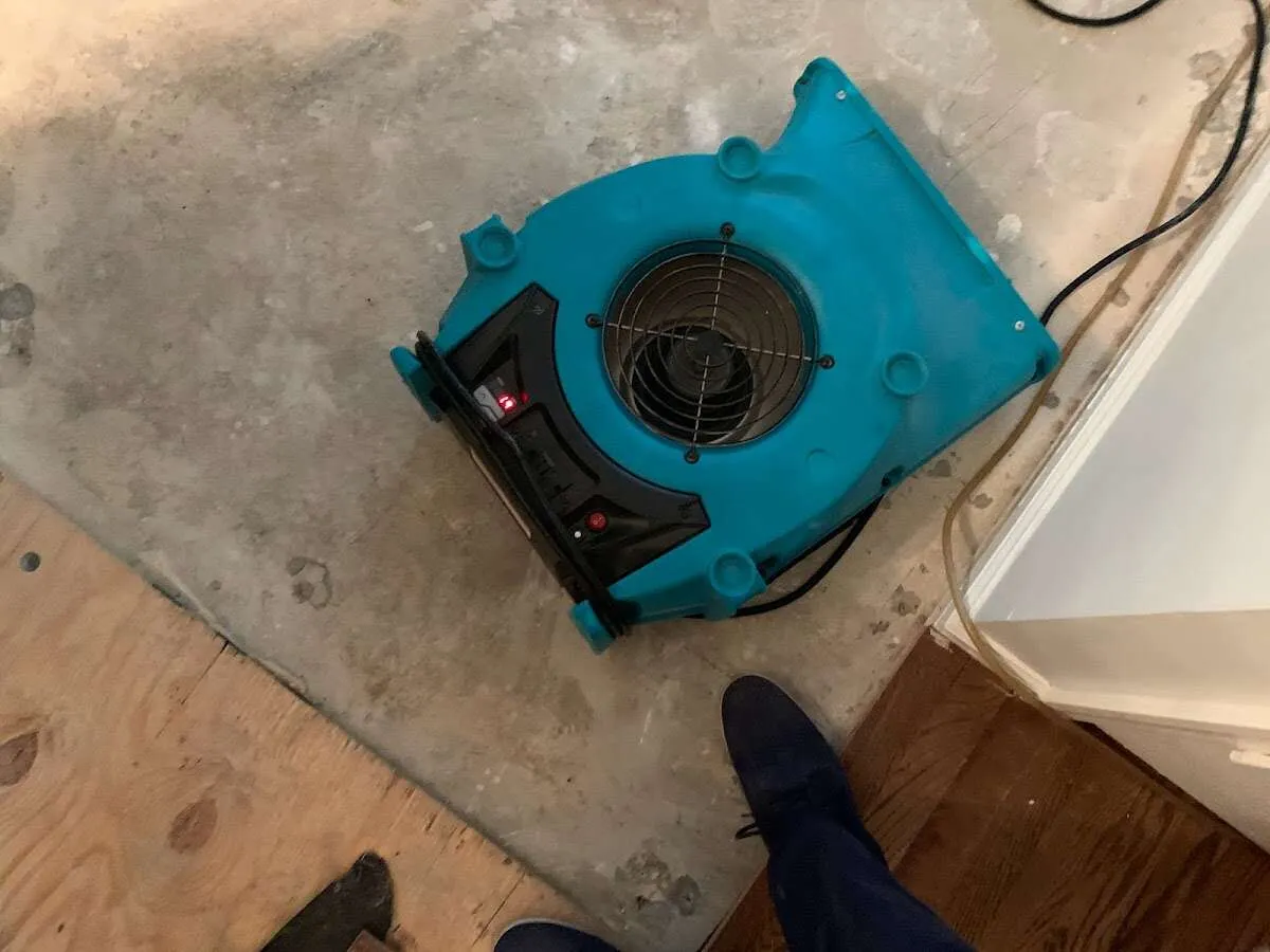 Air mover drying subfloor during Commercial Water Damage Restoration in Pompey